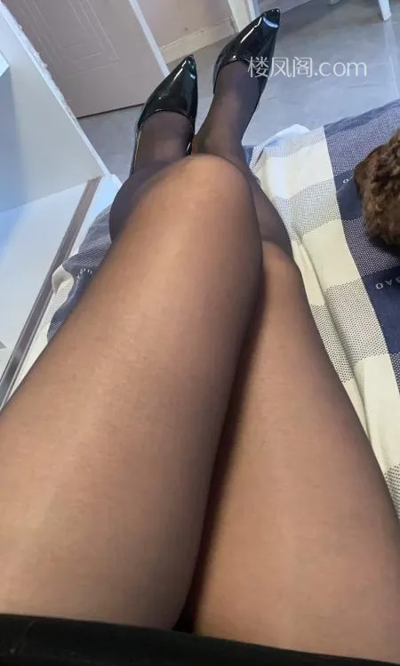 全国免费楼凤资源