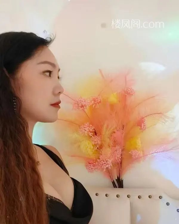 全国免费楼凤资源