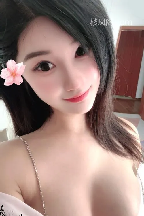 全国免费楼凤资源