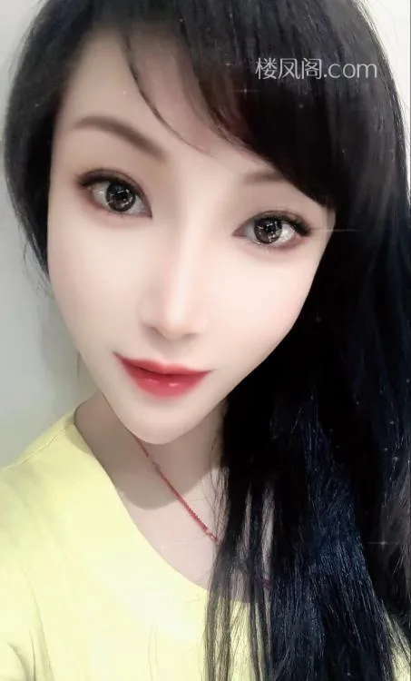 全国免费楼凤资源