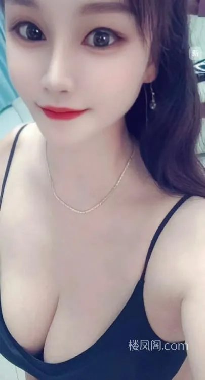 全国免费楼凤资源