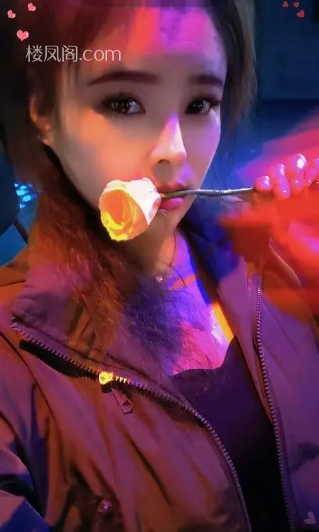 全国免费楼凤资源