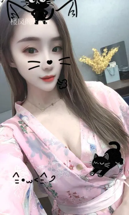 全国免费楼凤资源