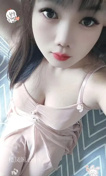 全国免费楼凤资源