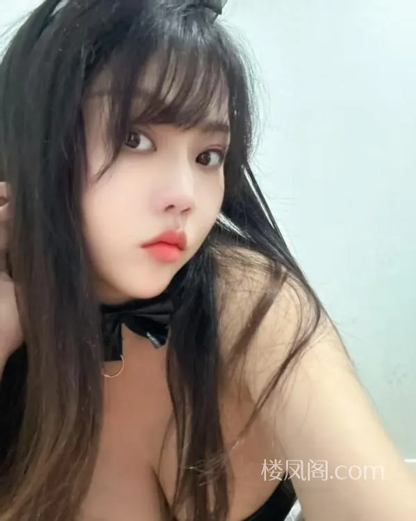 全国免费楼凤资源