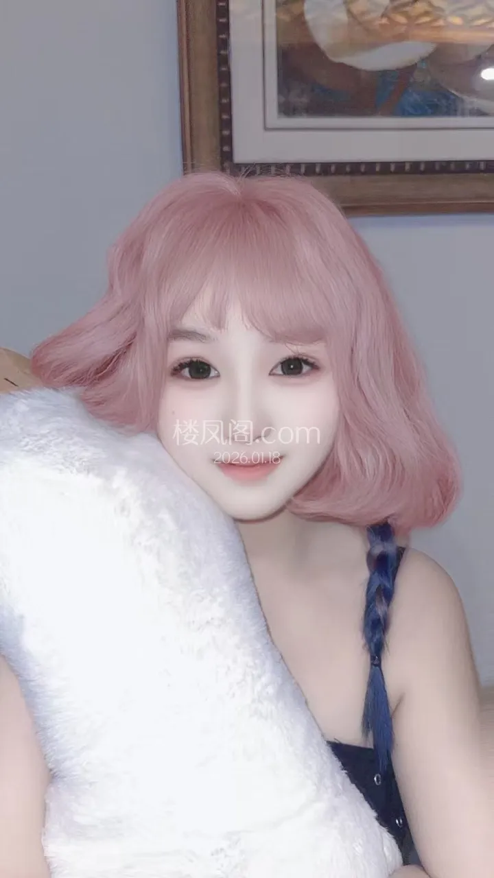 全国免费楼凤资源