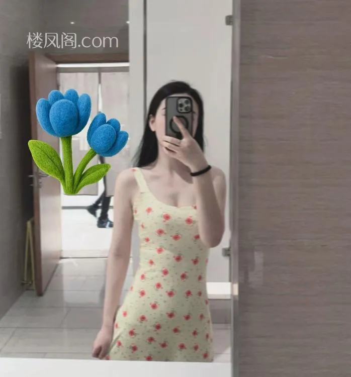 全国免费楼凤资源