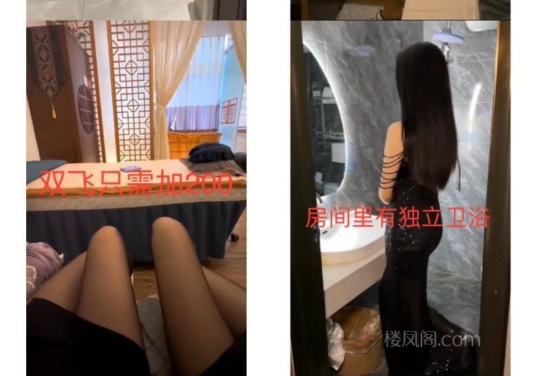 全国免费楼凤资源