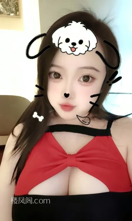 全国免费楼凤资源