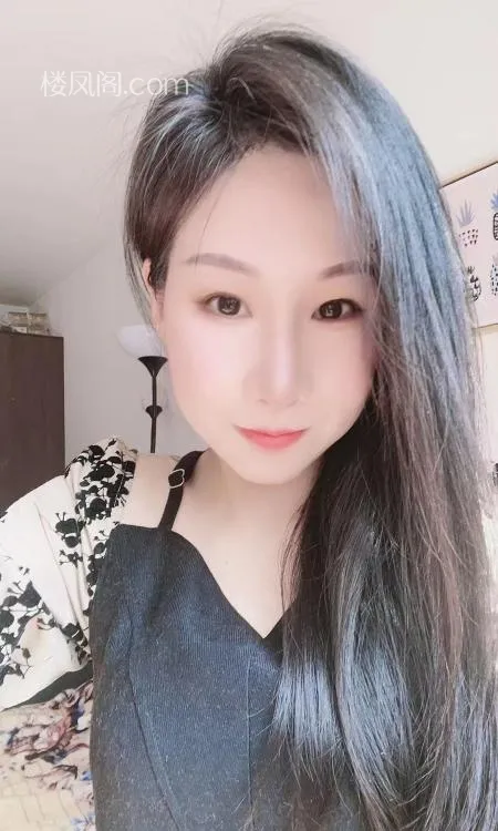 全国免费楼凤资源