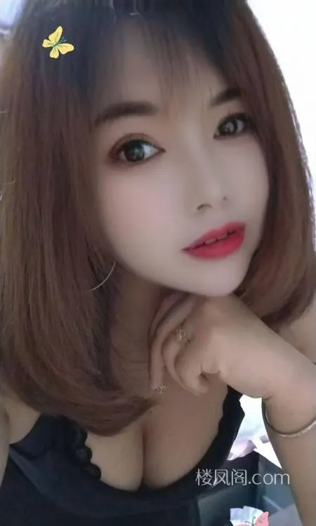 全国免费楼凤资源