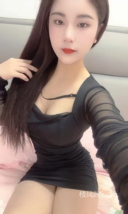 全国免费楼凤资源