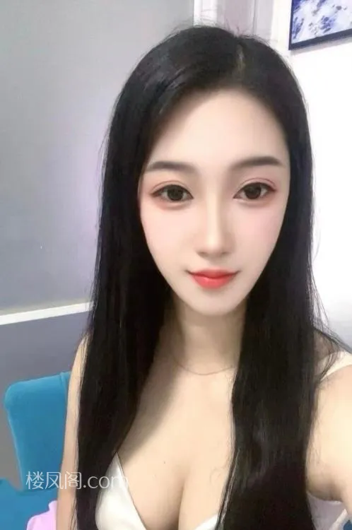 全国免费楼凤资源