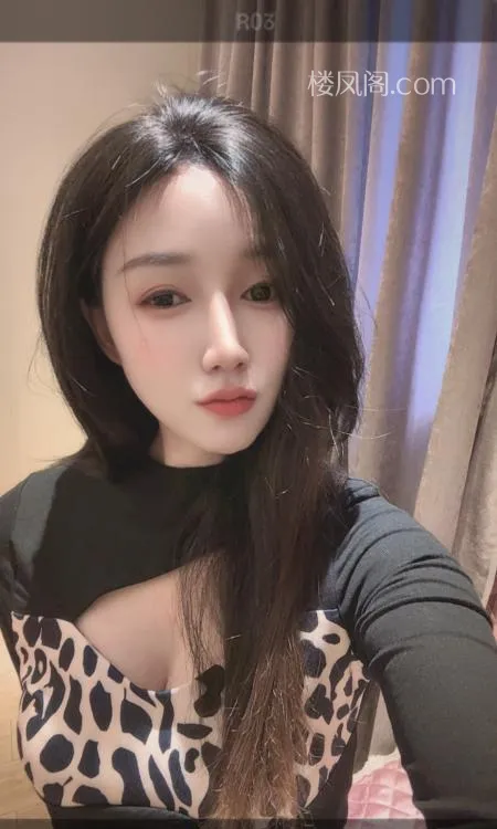 全国免费楼凤资源