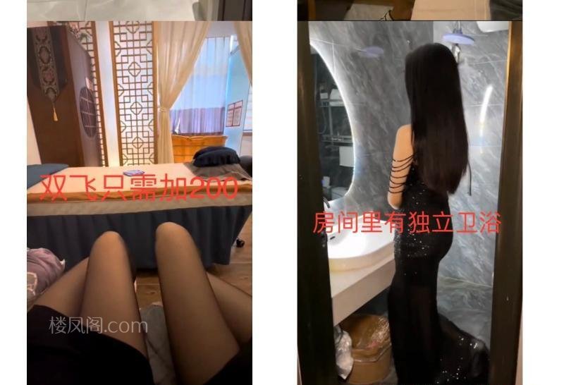 全国免费楼凤资源