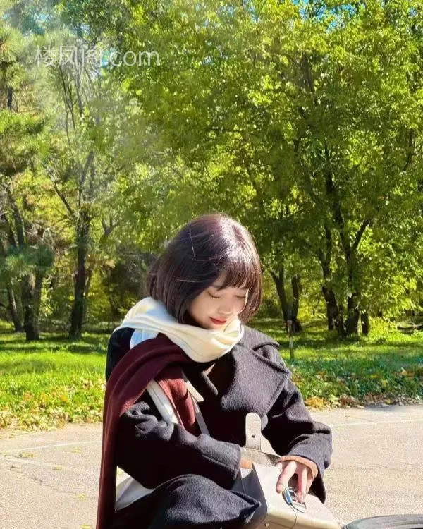 全国免费楼凤资源