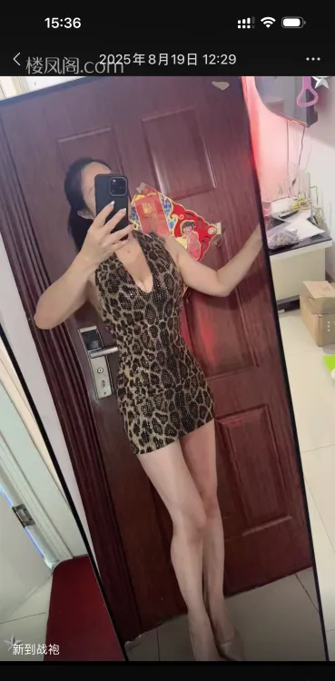 全国免费楼凤资源