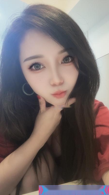 全国免费楼凤资源