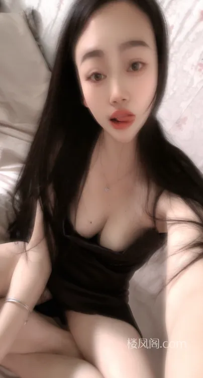 全国免费楼凤资源