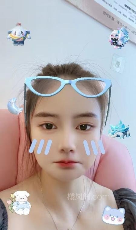 全国免费楼凤资源