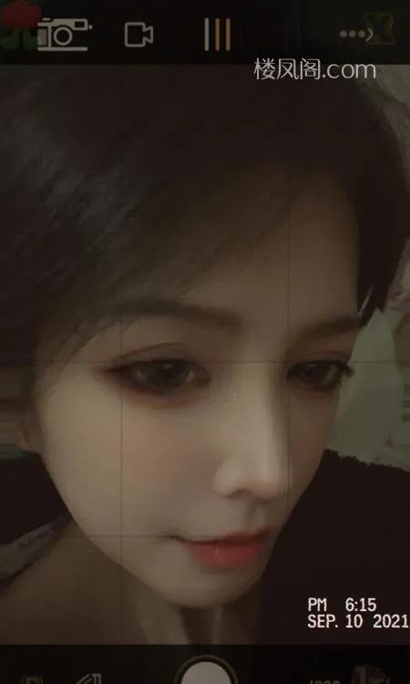 全国免费楼凤资源