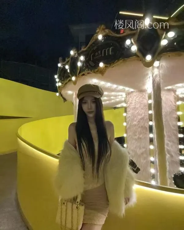 全国免费楼凤资源