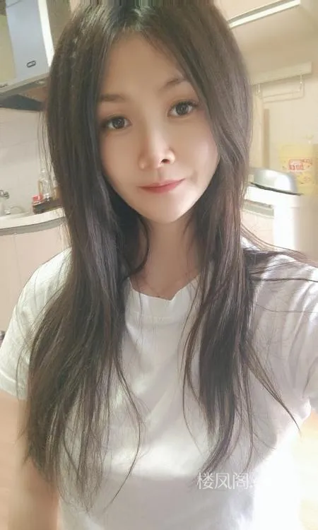 全国免费楼凤资源