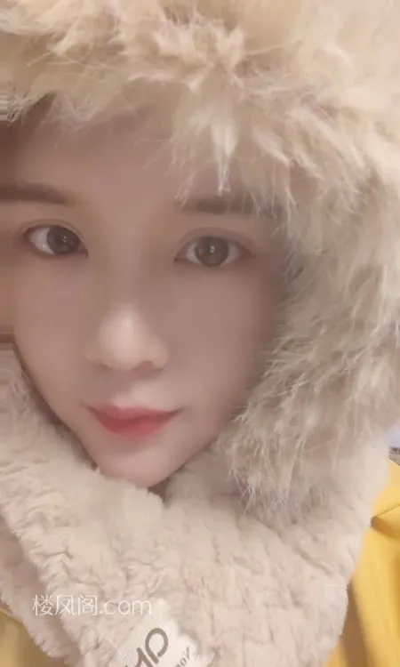 全国免费楼凤资源