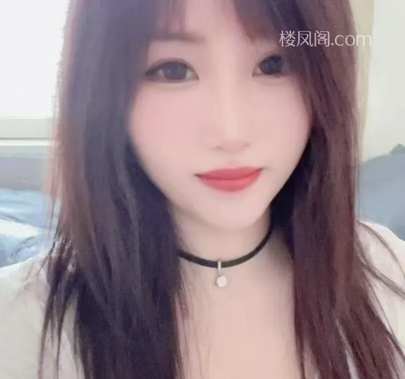 全国免费楼凤资源