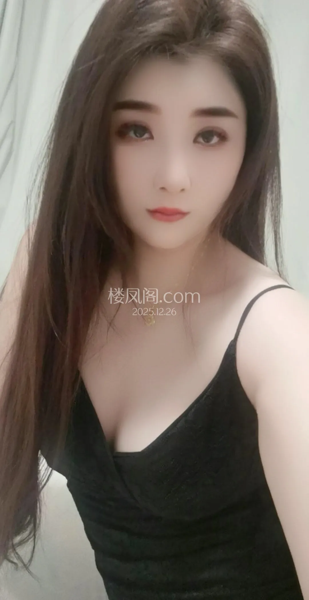 全国免费楼凤资源