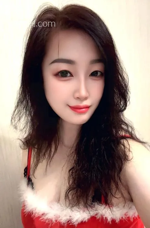 全国免费楼凤资源