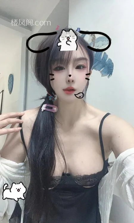 全国免费楼凤资源