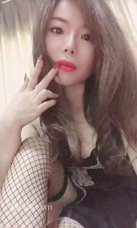 全国免费楼凤资源