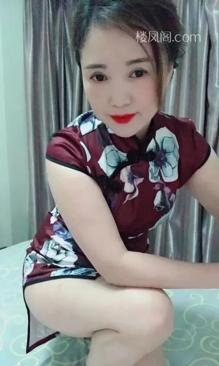 全国免费楼凤资源