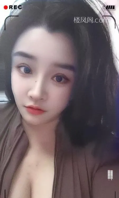 全国免费楼凤资源