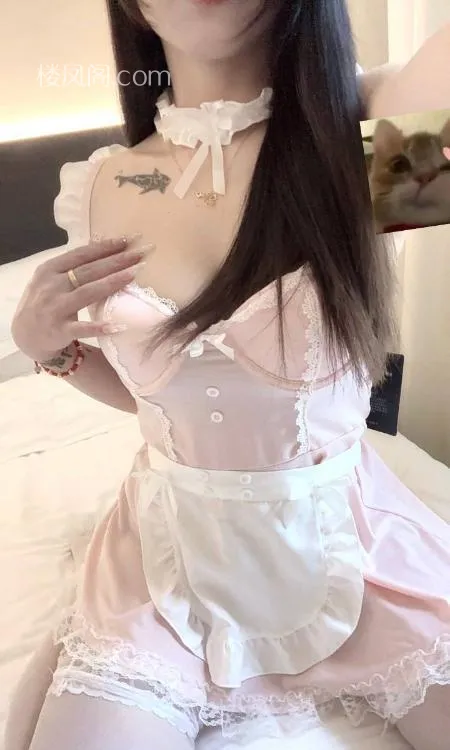 全国免费楼凤资源