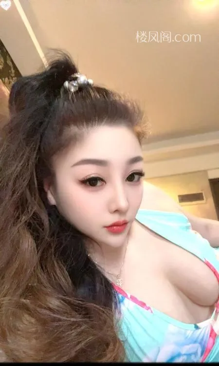 全国免费楼凤资源