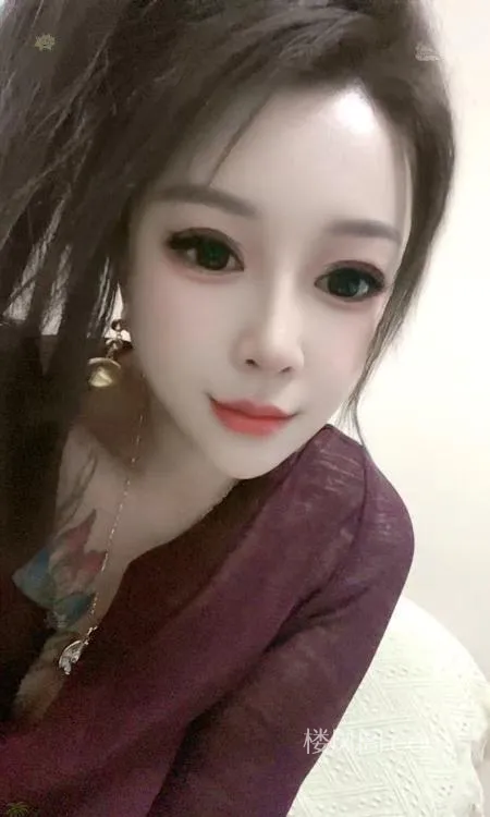 全国免费楼凤资源