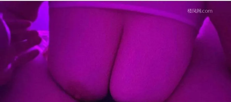 全国免费楼凤资源