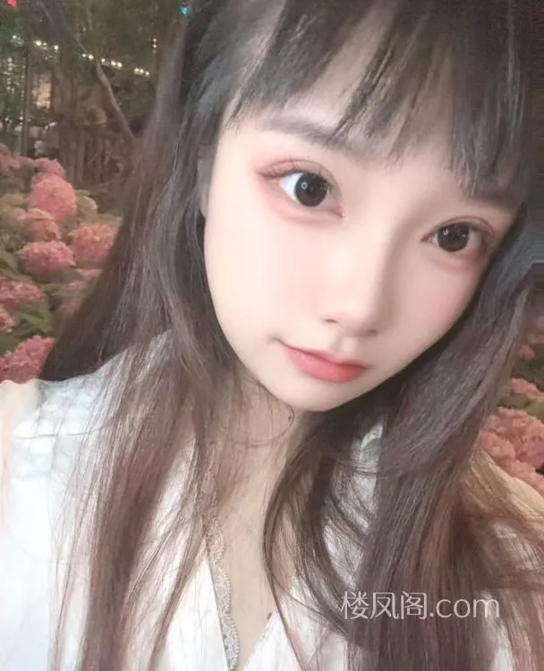 全国免费楼凤资源