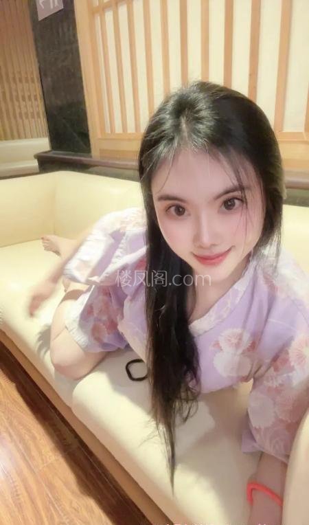 全国免费楼凤资源