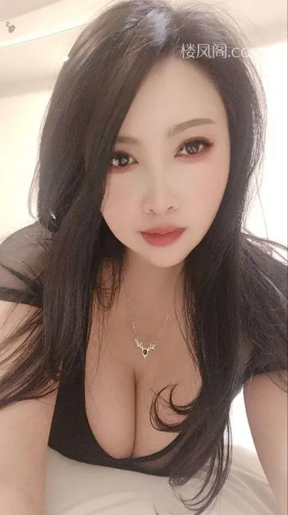 全国免费楼凤资源