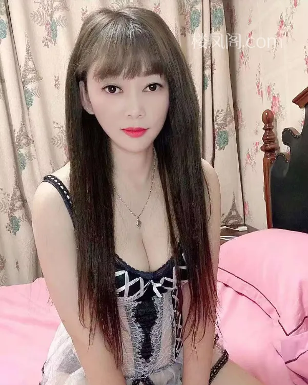 全国免费楼凤资源