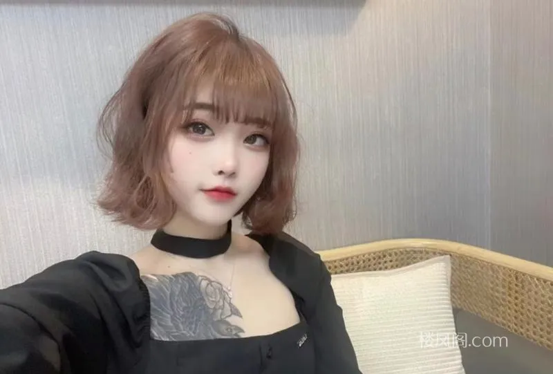 全国免费楼凤资源