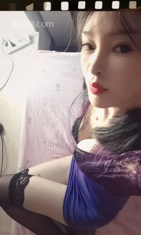 全国免费楼凤资源