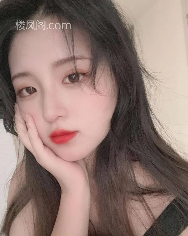 全国免费楼凤资源