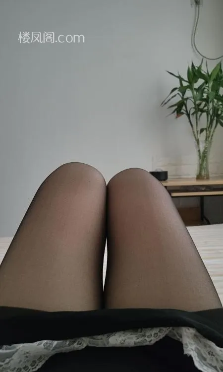 全国免费楼凤资源