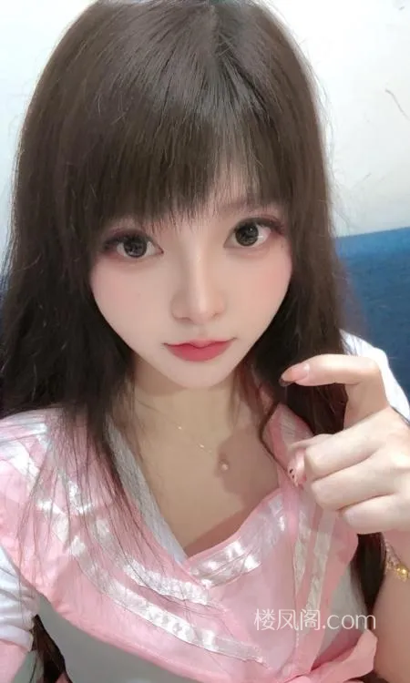 全国免费楼凤资源