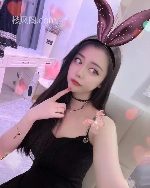 全国免费楼凤资源