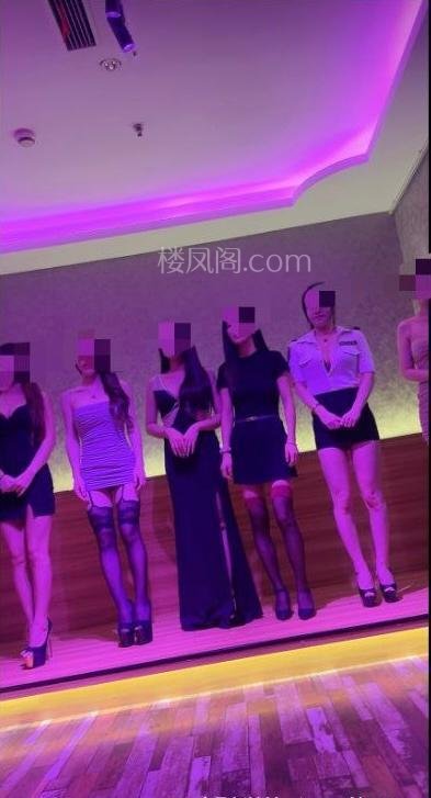 全国免费楼凤资源